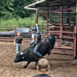 Meet your Posher, Oscar